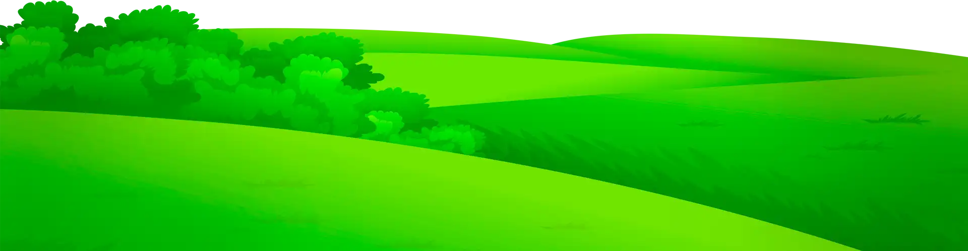 WiFiGid Зелёный луг