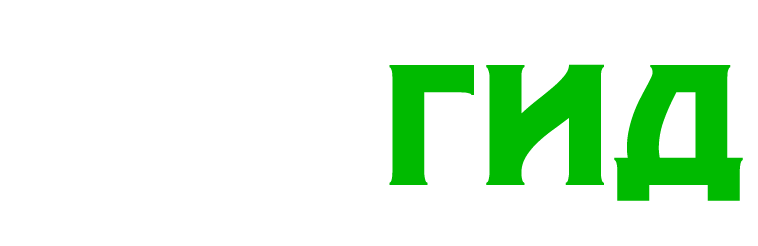 Логотип WiFiGid Светлый