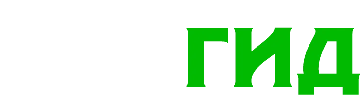 Логотип WiFiGid Светлый