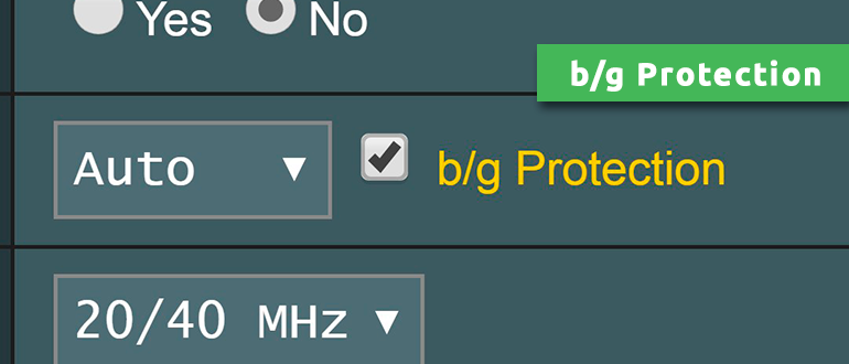 b/g Protection