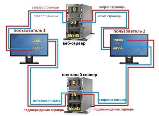 Что такое сетевой порт в компьютере и сколько их бывает: отвечает Бородач