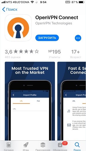 VPN в iPhone: что это и для чего он нужен, как бесплатно включить и настроить?