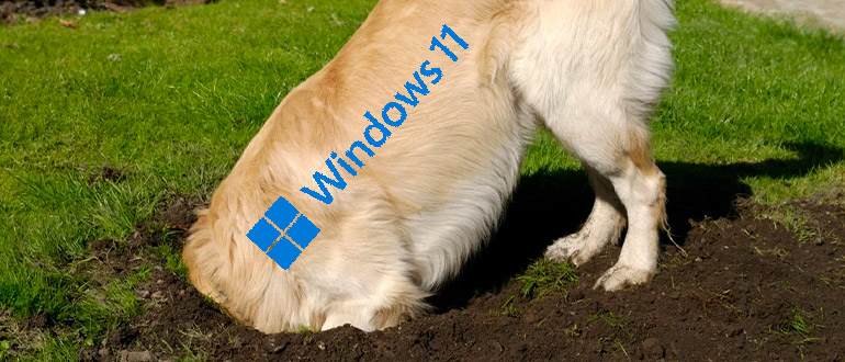 Как открыть поиск в Windows 11: ищем файлы, папки и программы