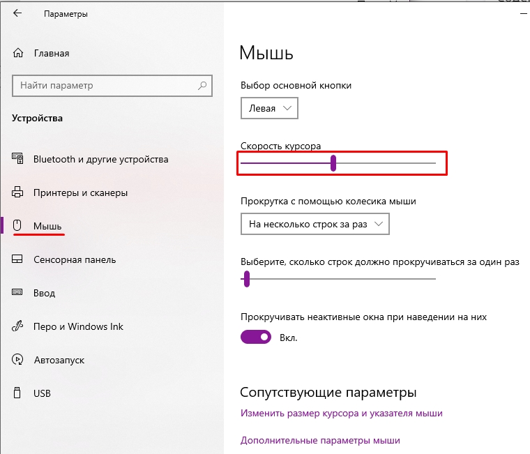 Чувствительность мыши в Windows 10: профессиональная настройка