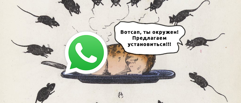 WhatsApp не скачивается или не устанавливается на Android