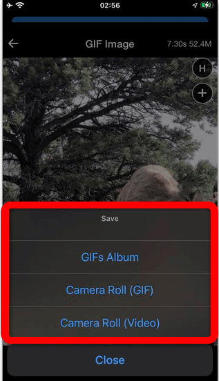 Как создать гифку из видео на iPhone: инструкция