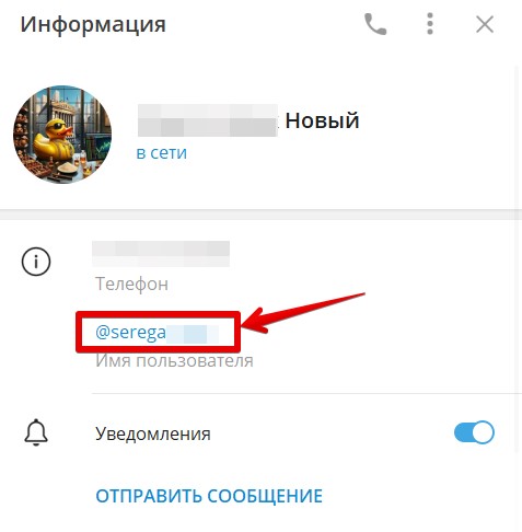 Как сделать ссылку на канал, чат или свой аккаунт в Telegram