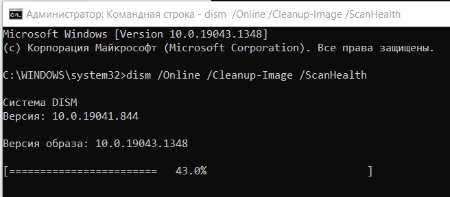 Dism Online Cleanup-Image ScanHealth: использование