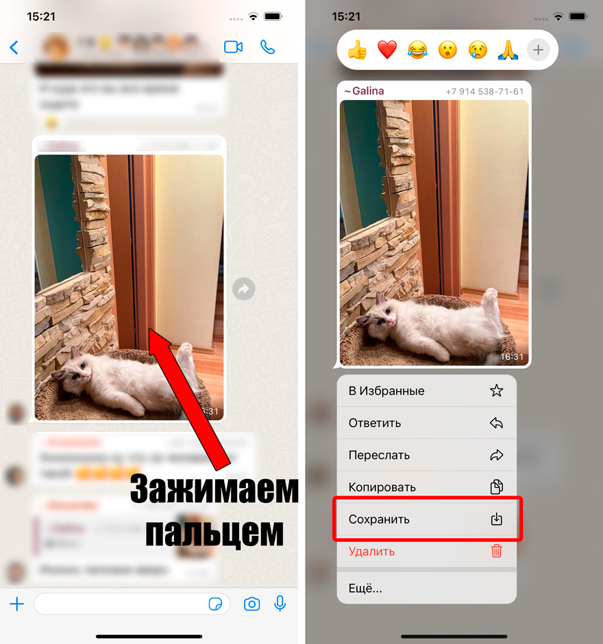 Как сохранить фото из WhatsApp на Android и iPhone