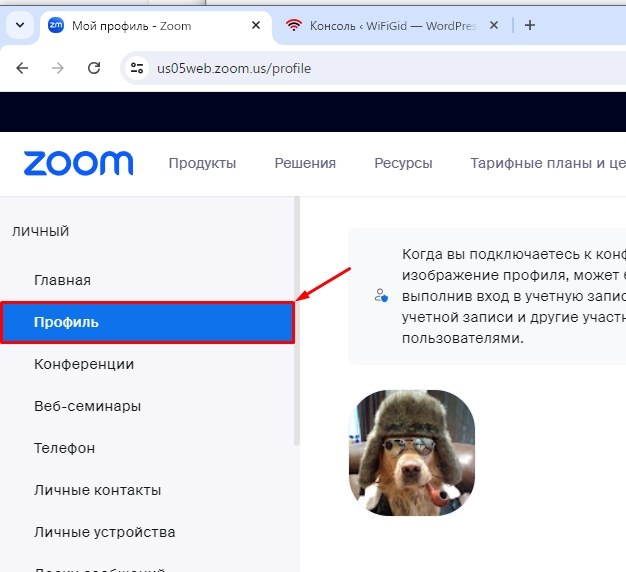 Как в Zoom поставить фото на аватарку: 3 способа