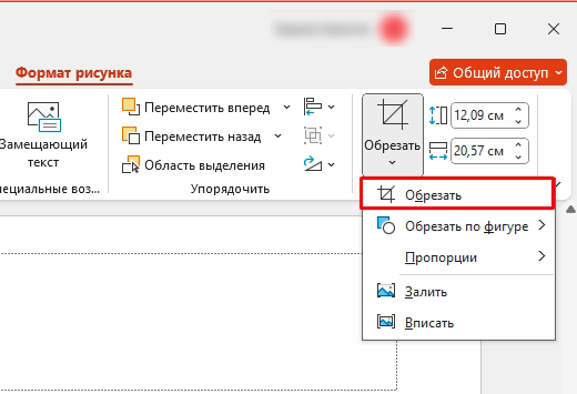 Как обрезать рисунок в PowerPoint: инструкция
