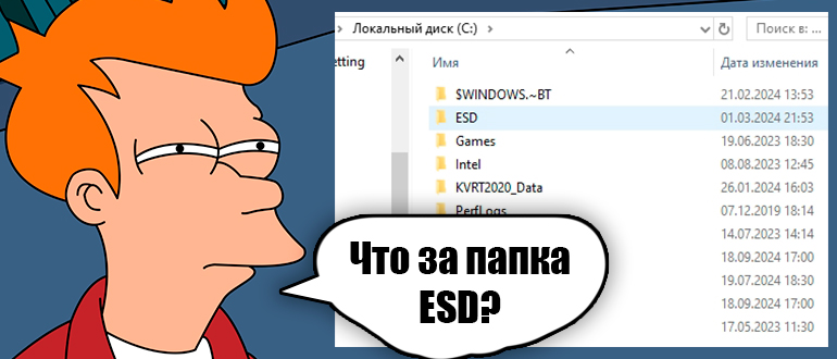 ESD в Windows 10 и 11 - что это за папка?