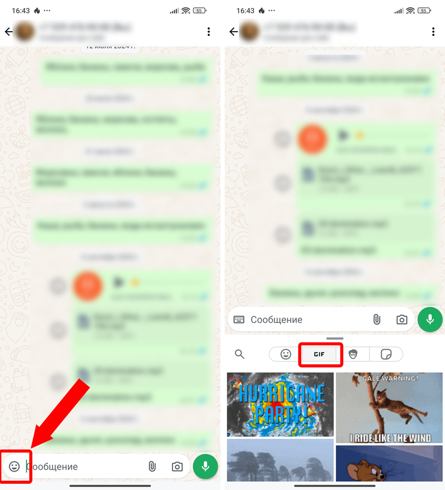 Как найти и отправить гифки в WhatsApp: все способы