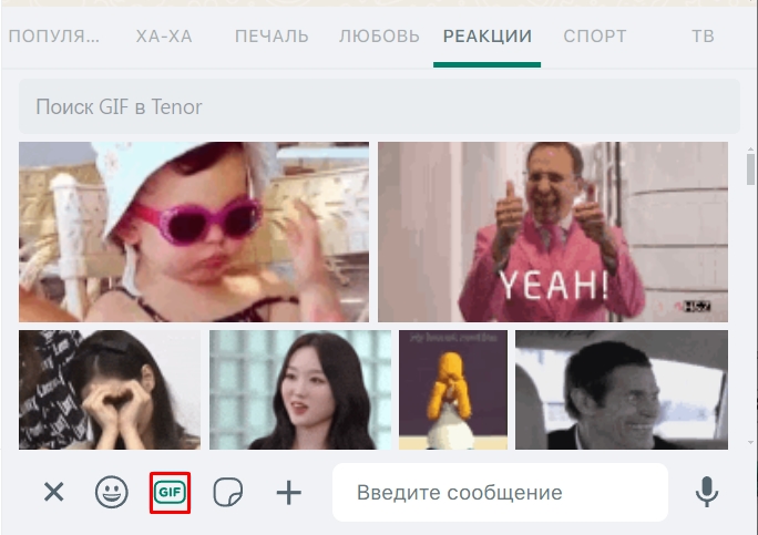 Как найти и отправить гифки в WhatsApp: все способы
