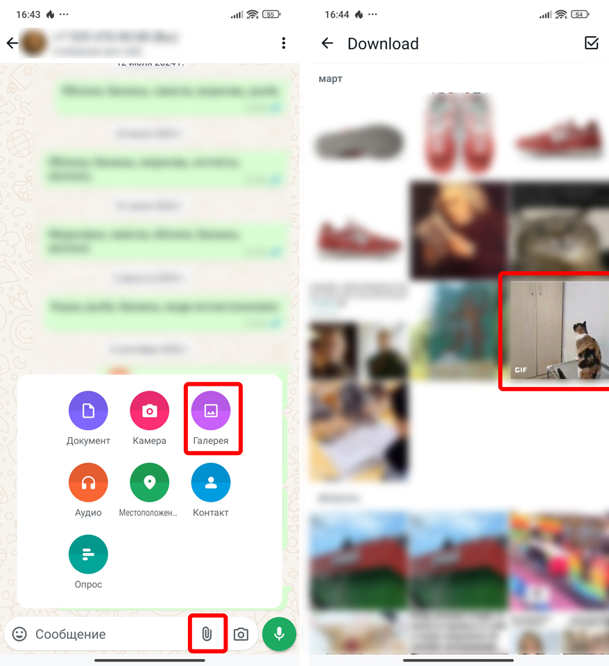Как найти и отправить гифки в WhatsApp: все способы