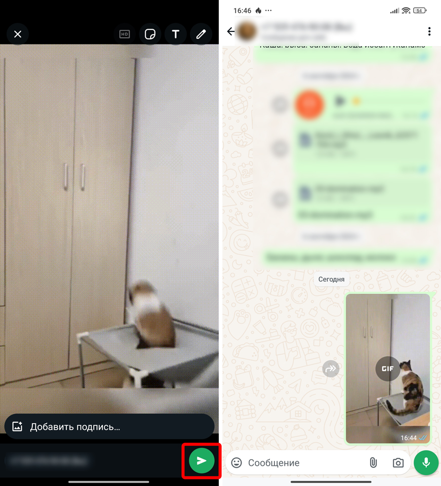 Как найти и отправить гифки в WhatsApp: все способы