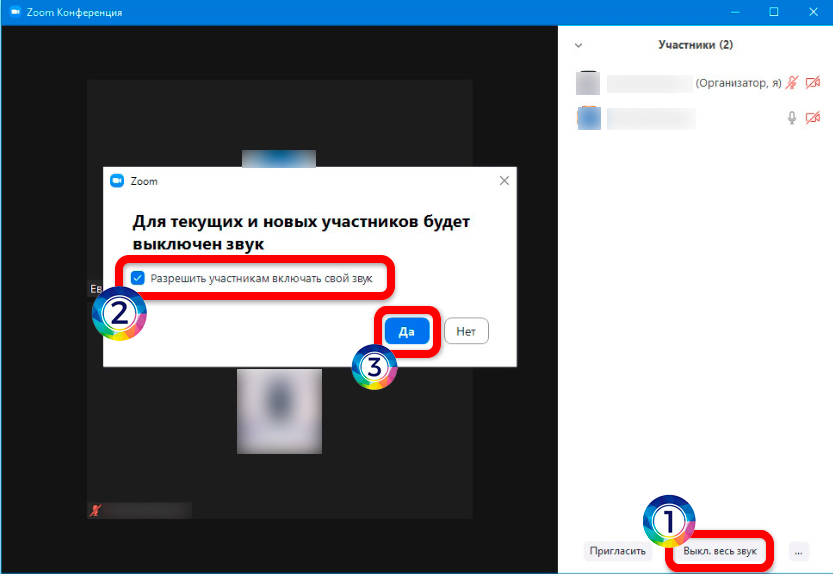 Как отключить звук в Zoom: решение