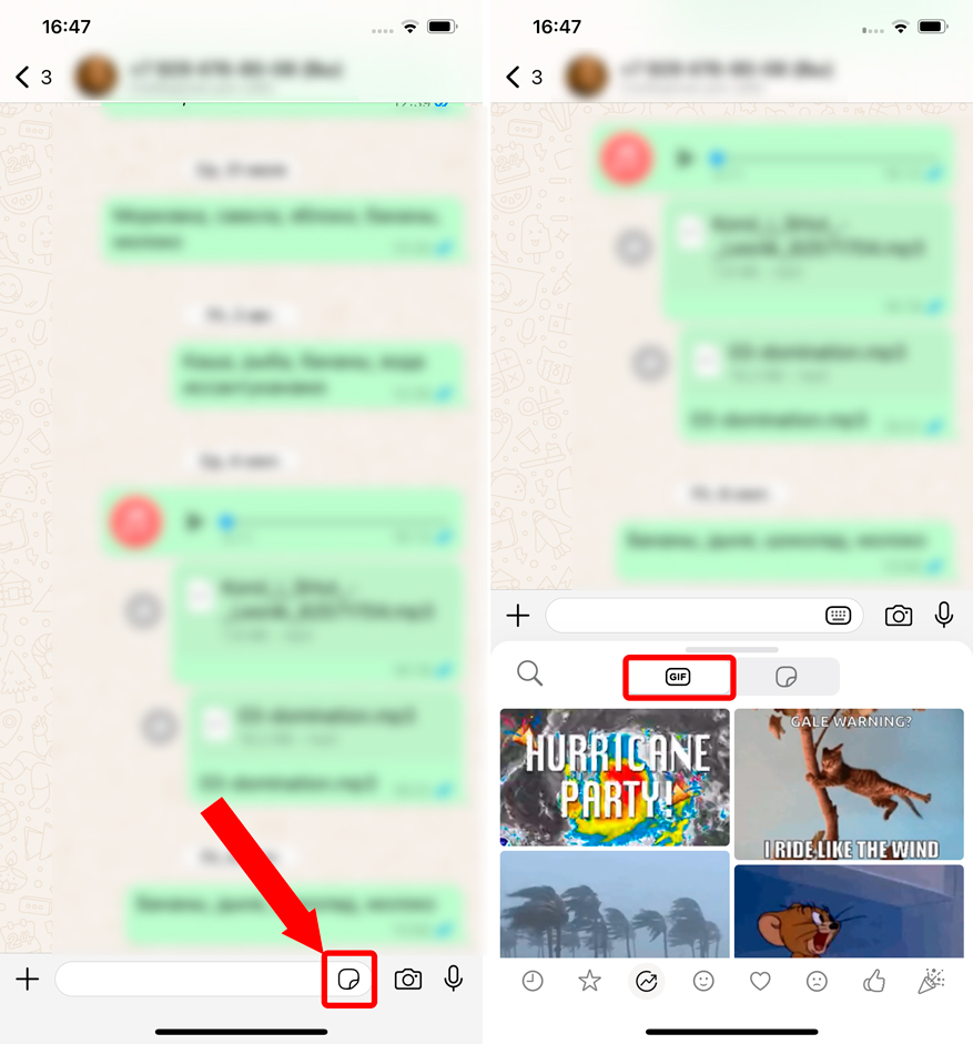Как найти и отправить гифки в WhatsApp: все способы