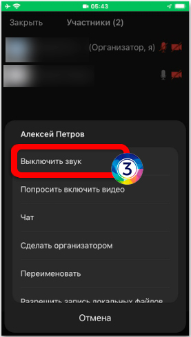Как отключить звук в Zoom: решение