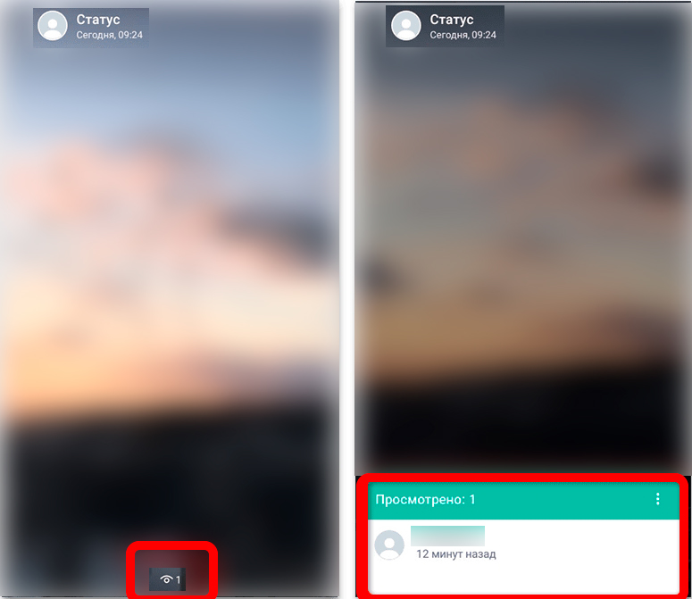 Видно ли кто смотрел статус в WhatsApp: да или нет?