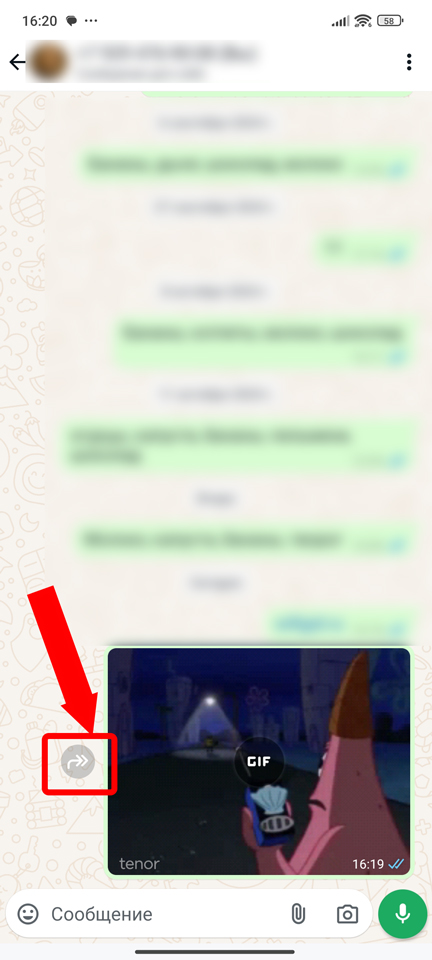 Как в WhatsApp переслать сообщение другому пользователю: ответ