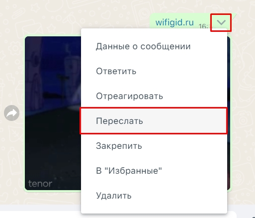 Как в WhatsApp переслать сообщение другому пользователю: ответ