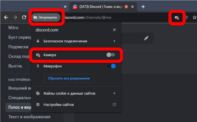 Как включить камеру в Discord, если она не работает