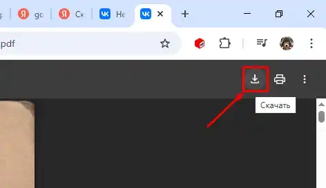 Как сделать, чтобы PDF не открывался в браузере