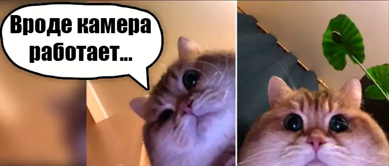 Как подключить и настроить Wi-Fi камеру V380 Pro с телефона?