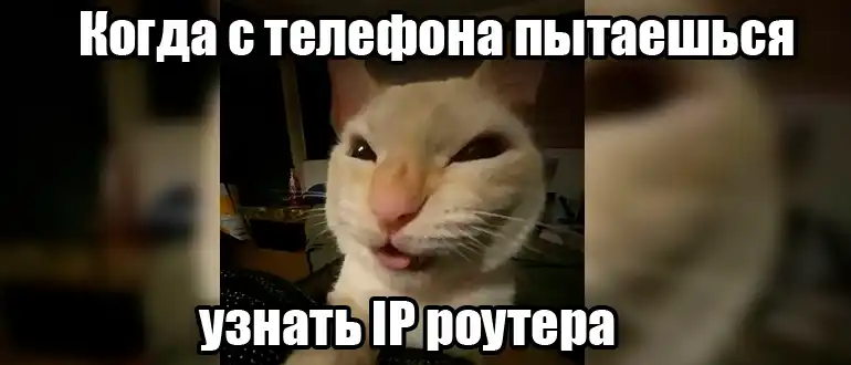 Как узнать IP роутера с телефона Android и iPhone